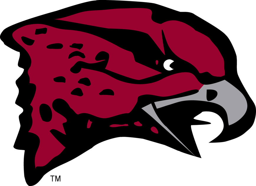 Maryland-Eastern Shore Hawks 2007-Pres Primary Logo iron on transfers for T-shirts